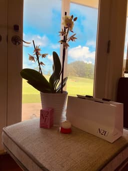 N2U N2U NOSEBUM SUNPOWDER — photo from Bernice's review