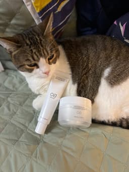 WOLLYO Azulene Blue Cleansing Balm 100ml — photo from hazelmoss's review