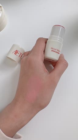 AETET AETET Mood Sketch Stick Blusher — photo from Jamie's review