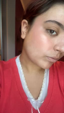 AETET AETET Mood Sketch Stick Blusher — photo from Maya's review