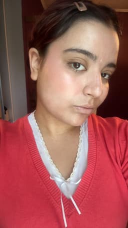 AETET AETET Mood Sketch Stick Blusher — photo from Maya's review